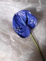 Small Classic Round Earrings