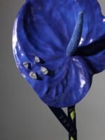 Small Classic Teardrop Earrings